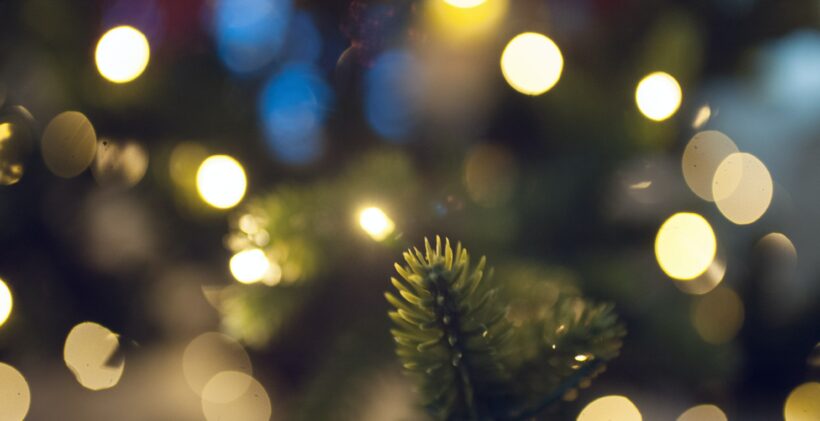 Festive season for the LGBTI+ group